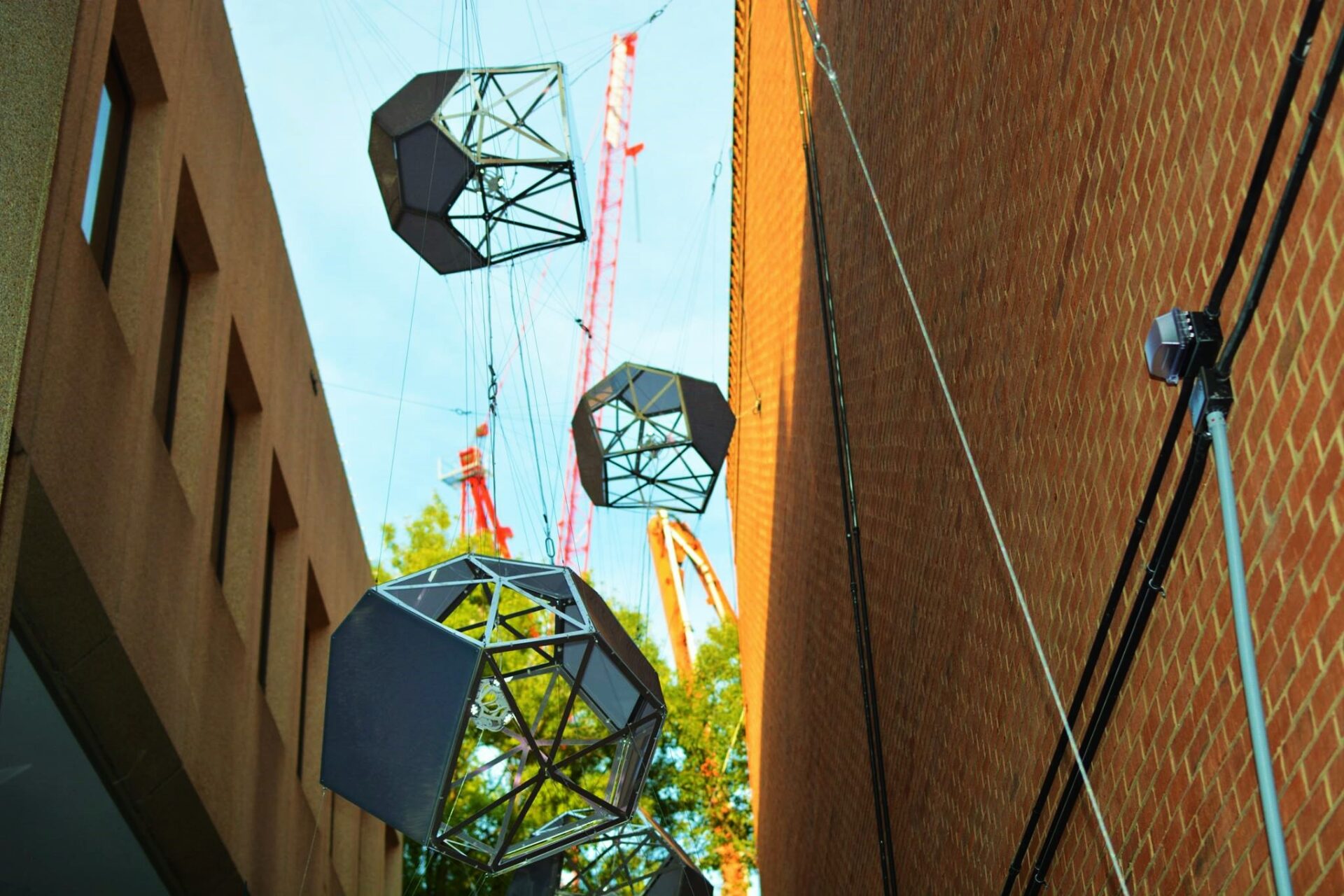 Star Gaze with cranes