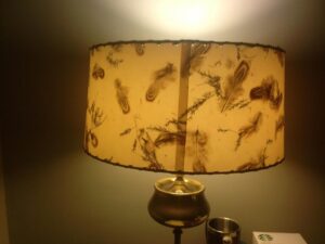 13873252_1294675097209217_7016394148220205941_n