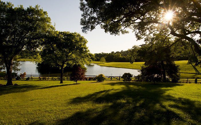 bright-hour-farm-pond-view