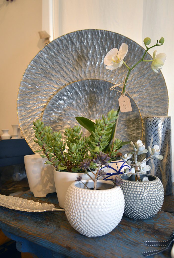 orchid-display-at-shop