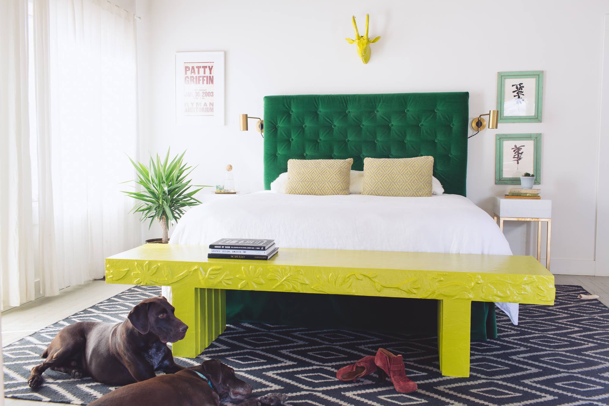 12716319_1141144615903829_9146162972998288759_o