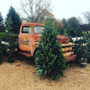 long-hollow-gardens-nursery