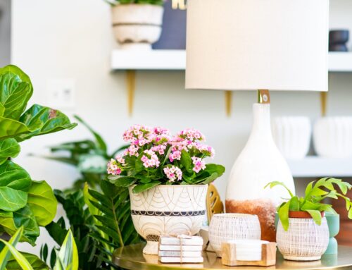 Spring’s Best Botanicals