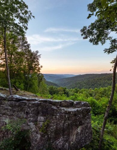 Top of the Rock - Journey More The Tree Lofts Beersheba Springs, TN